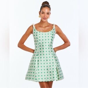 NWT Mestiza Sleeveless Green Patterned Mini Dress
